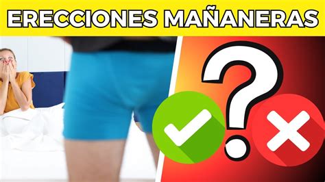 erecciones mañaneras|Por qué los hombres tienen erecciones por la mañana。